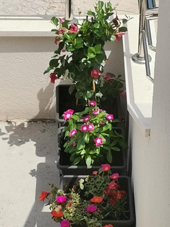 Apartment Lijana Sea View Tučepi Dış mekan fotoğraf